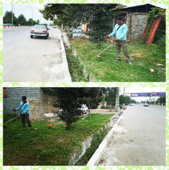 اصلاح علفهای هرز بلوار شهید ذبیحی ( شهرداری کیاکلا )