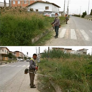 چمن زنی علف های هرز بلوار امام رضا(ع)