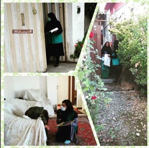 آموزشگران طرح ماپ ( مدیریت اجتماعی پسماند ) در کیاکلا