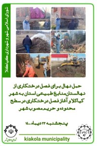 حمل نهال برای فصل درختکاری