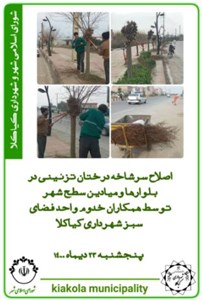 اصلاح سرشاخه درختان تزئیینی در بلوارها و میادین سطح شهر