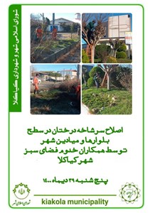 اصلاح سرشاخه درختان در بلوارها و میادین سطح شهر