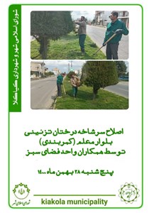 اصلاح سرشاخه درختان تزئینی بلوار معلم