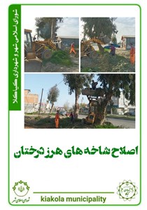 اصلاح شاخه های هرز درختان