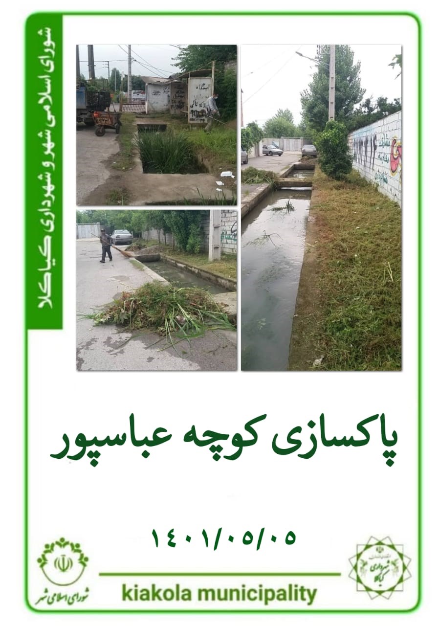 پاکسازی کوچه عباسپور