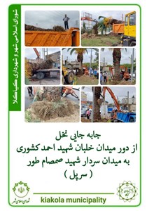 جابجایی نخل از دور میدان خلبان شهید احمد کشوری به میدان سردار شهید صمصام طور ( سرپل)