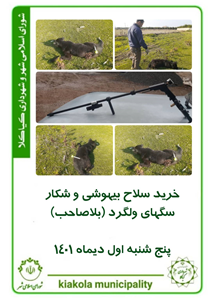 خرید سلاح بیهوشی و شکار سگهای ولگرد (بلاصاحب)