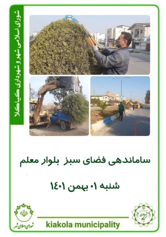 ساماندهی فضای سبز بلوار معلم