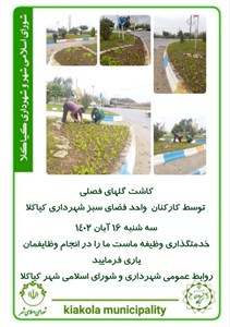 کاشت گل های فصلی