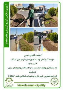 کاشت گلهای فصلی