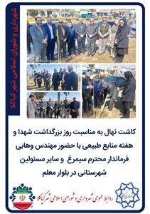 کاشت نهال به مناسبت روز بزرگداشت شهدا و هفته منابع طبیعی با حضور مهندس وهابی فرماندار محترم سیمرغ  و سایر مسئولین شهرستانی در بلوار معلم